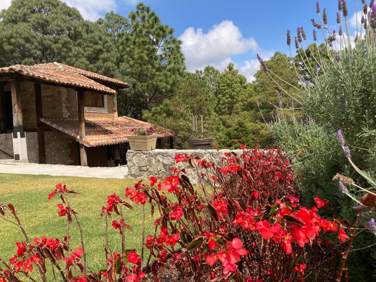 Hotel Rocaval San Cristóbal de Las Casas 외부 사진