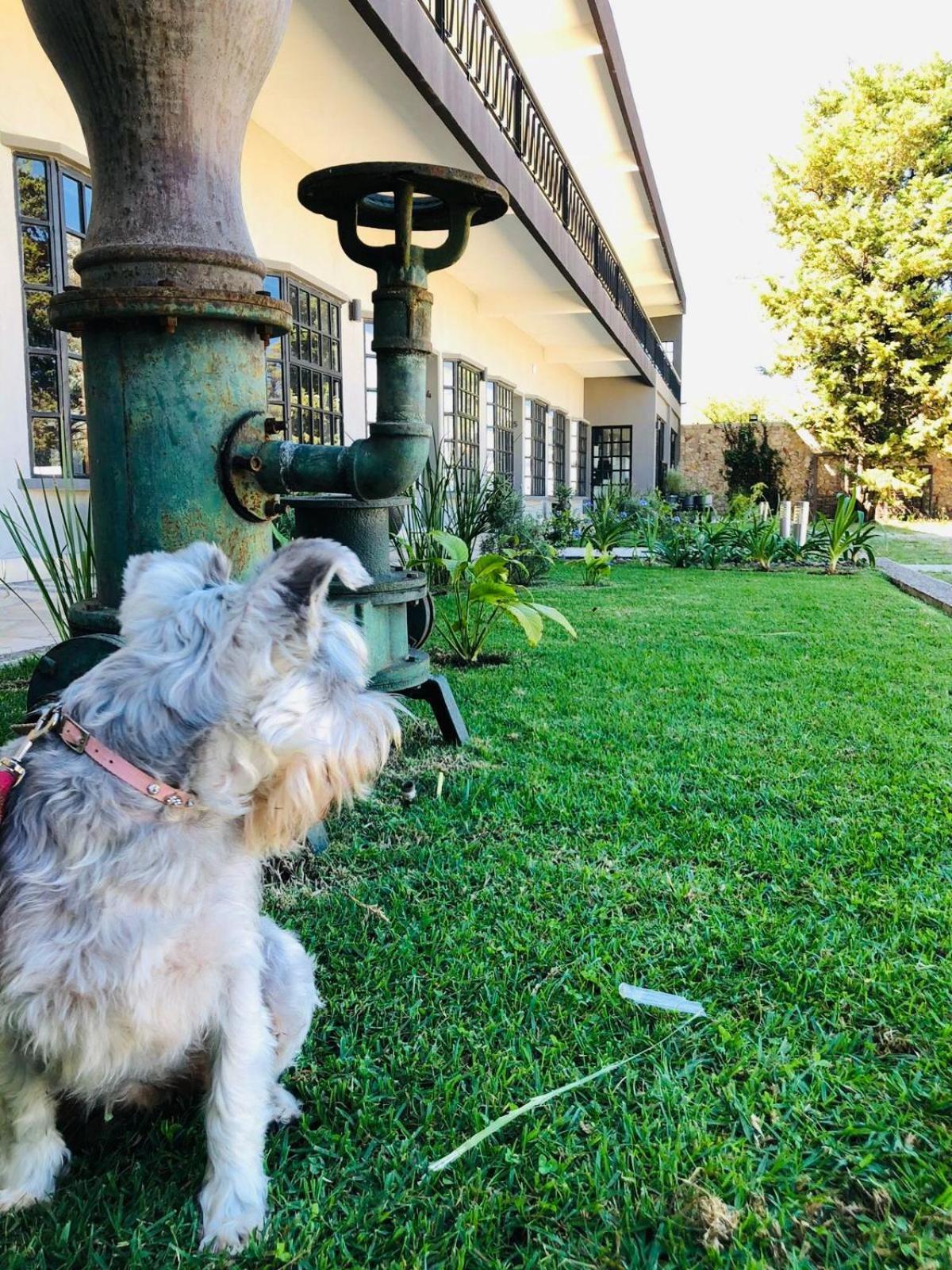 Hotel Rocaval San Cristóbal de Las Casas 외부 사진